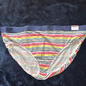 Cacique Multicolor Striped  Bottoms